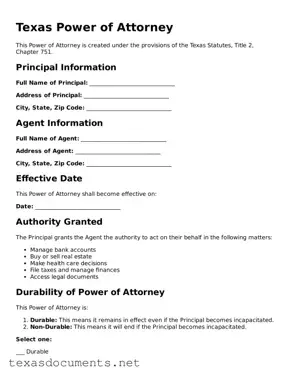 Fillable  Power of Attorney Template for Texas