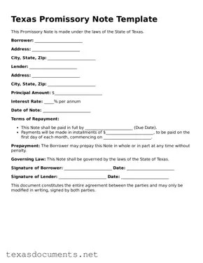 Fillable  Promissory Note Template for Texas
